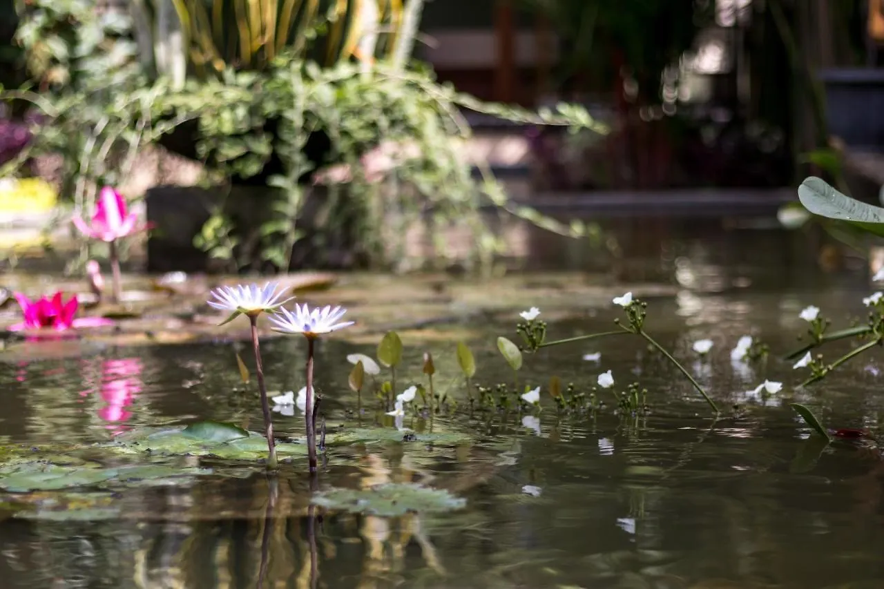Hidden Padma Retreat Hotel Ubud  Ubud (Bali)